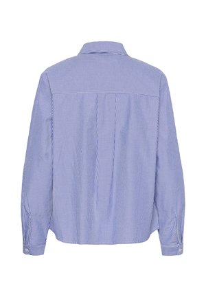 Pikkade varrukatega sinise ja valge vertikaalsete triipudega nööpidega särk, mis on näidatud tagantpoolt terava krae ja mansetiga varrukatega.