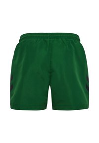 Zielone sportowe spodenki z elastycznym pasem i czarnymi, ukośnymi paskami po obu stronach, pokazane na białym tle.