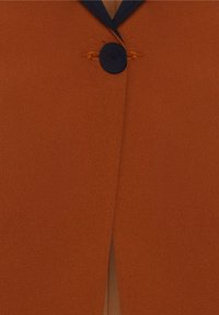 Manteau couleur rouille avec un seul grand bouton foncé près du col et un détail de revers triangulaire foncé.