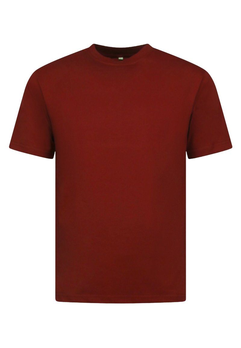 Rode katoenen T-shirt, korte mouwen, ronde hals, eenvoudig ontwerp, normale pasvorm, zachte textuur, geen zichtbare patronen of accenten.
