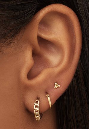 Goldene Ohrringe bestehen aus einem kleinen Blumencluster-Stecker und einem dicken Ketten-Ohrring, die auf einem hellen Hautton präsentiert werden. Das Ohr ist sichtbar mit dunklem Haar.
