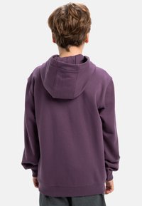 Lila sweatshirt med huva, med långa ärmar och avslappnad passform. Tillverkad av mjukt tyg med synliga sömnadsdetaljer i fållen.