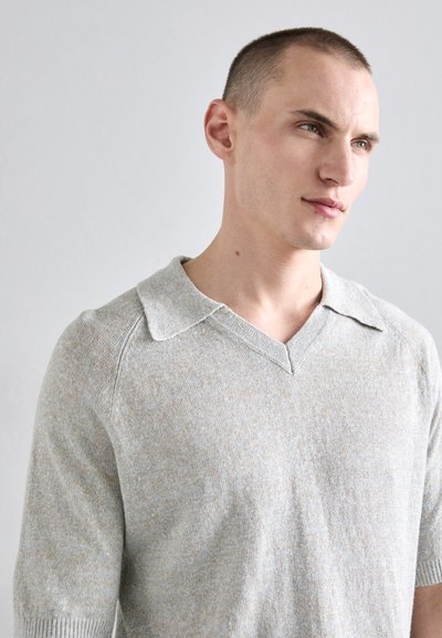Pull léger gris clair à manches courtes avec un col en V et un col contrastant. Texture douce avec un motif subtil de mélange; coupe ajustée.