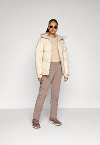 Columbia CLOUDVIEW™ HOODED JACKET - Piumino - dark stone
