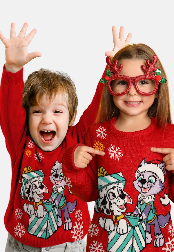 MARSHALL & EVEREST WINTER - Strickpullover - MARSHALL UND EVEREST