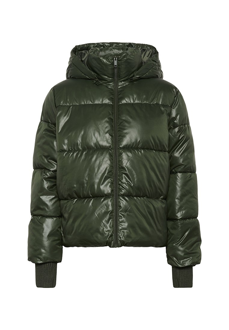 Dunkelgrüne, glänzende Daunenjacke mit Kapuze, Frontreißverschluss, gerippten Bündchen und gesteppten Paneelen zur Isolierung. Glatte Textur.
