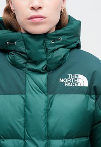 Pogled od blizu na osobu koja nosi zeleni pufasti kaput s kapuljačom i logotipom The North Face na prsima, prikazujući usne i naušnice.