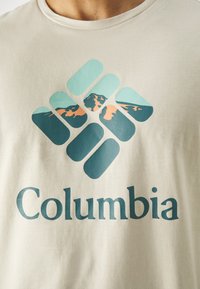 Columbia RAPID RIDGE™ GRAPHIC TEE - Apdrukāts T-krekls - dark stone