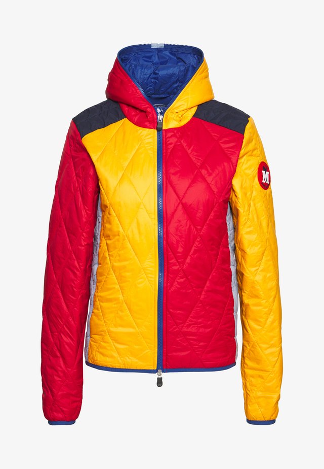 SAVE THE DUCK - Winter jacket - multi