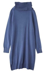 Robe tricotée bleue avec un col roulé côtelé haut, des manches longues et des détails de boutons aux poignets. Texture douce avec une coupe décontractée.