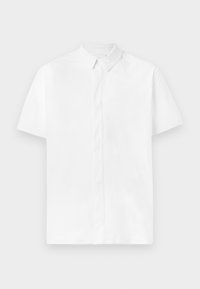 Wybrany, sail/light bone