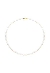 Vitt pärlhalsband med enhetliga runda kulor, en slät yta och ett guldhandtag. Enkelt och klassiskt design.