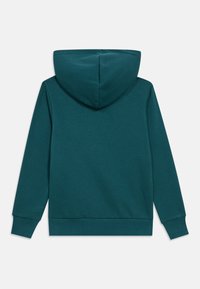 Solid teal green hoodie shown from the back with long sleeves, ribbed cuffs, hem, and a hood.