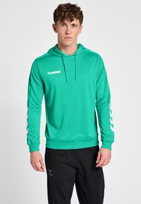 Felpa verde con cappuccio regolabile, realizzata in tessuto liscio. Presenta un logo bianco sul petto e dettagli a zigzag bianchi sulle maniche.