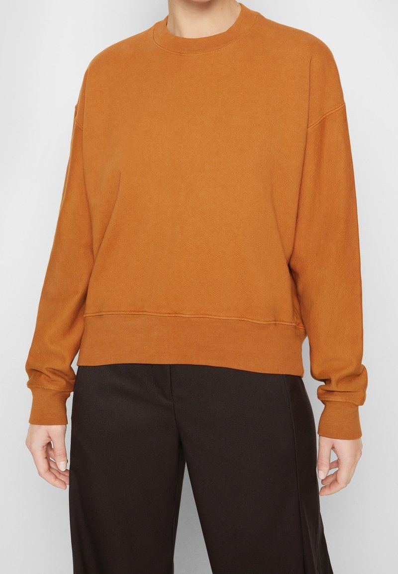 Rust-colored sweatshirt with a round neck, dropped shoulders, and ribbed cuffs. Features a relaxed fit and a smooth, soft texture.