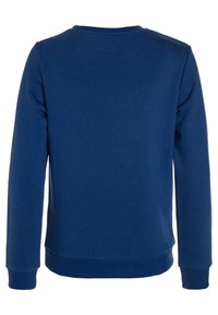 Felpa blu in cotone con colletto rotondo, maniche lunghe e polsini a coste. Il retro è semplice con una texture liscia. Nessun motivo visibile.