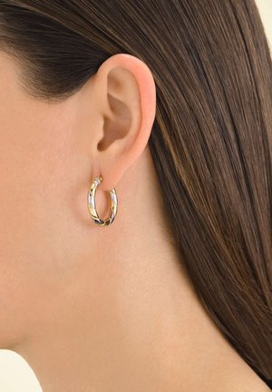 Rosefield DUOTONE - Orecchini - silver coloured and gold coloured
