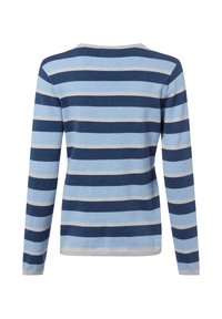 Langärmliger Strickpullover mit horizontalen Streifen in Marineblau, Hellblau und Hellgrau, Rückansicht.