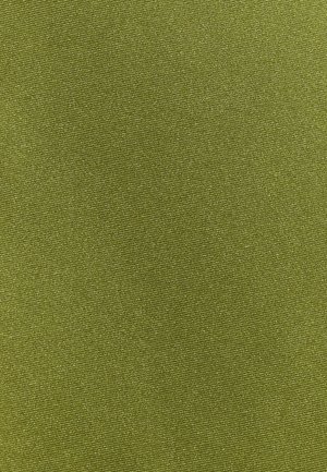 LOAVIES, SIREN TIDE - Bas de bikini - solid   green