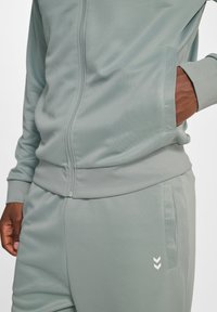 Lys grøn tracksuit med en jakke med lynlås og bukser med elastisk talje. Stoffet har en glat tekstur med et logo detaljeret på bukserne.