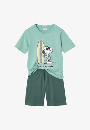 Child’s sea-green T-shirt with Snoopy and surfboard graphic and dark green shorts set, casual summer outfit.