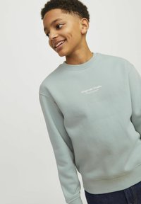 Jack & Jones Junior JORVESTERBRO CREW NECK NOOS - Ikdienas džemperis - gray mist