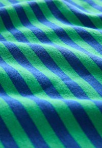 Next STRIPED RAW EDGE SEAM DETAILING CREW NECK - Mikina - blue green