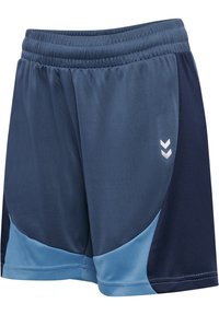 Marineblå og lyseblå atletiske shorts med elastisk taljebånd og hvid dobbelt chevron-logo på højre lår.