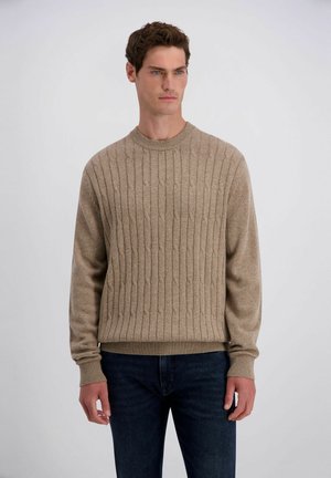 Pierre Cardin, STRICKPULLOVER - Strickpullover - braun