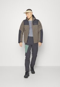 Jack Wolfskin JASPER INS M - Vinterjakker - cold coffee