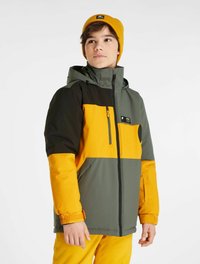 Giacca invernale colorata verde, nera e gialla, con zip frontale, polsini elasticizzati e tasca a toppa; indossata con un berretto abbinato.