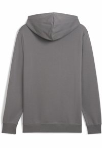 Grå langærmet hoodie med snoretræk i hætten, ribbede manchetter og en glat tekstur. Bagsiden er ensfarvet uden yderligere designelementer.