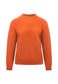 Felpa arancione realizzata in morbido tessuto, con scollatura a girocollo a costine, maniche lunghe e polsini elasticizzati, caratterizzata da una texture liscia e un design semplice.