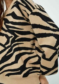 Desires DEDSEMILINE JAQUARD KNIT PULLOVER - Neule - p cuban sand print