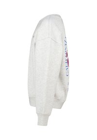 Sudadera gris claro vista de lado, con texto y gráfico en azul y rojo en el frente y puños acanalados en las mangas.