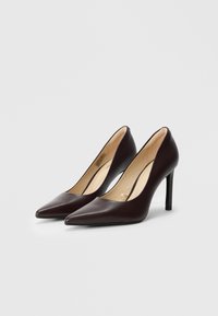 Un paio di scarpe con tacco alto a punta di colore marrone scuro con rivestimento interno beige su uno sfondo chiaro e semplice.