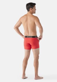Smartwool BOXED - Calzoncillos - scarlet red