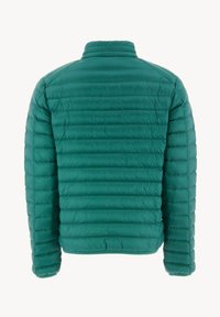 Gevoerde groene jas met een hoge kraag, voorzien van een gewatteerd ontwerp en elastische manchetten. De oppervlakte heeft een gladde, glanzende textuur.