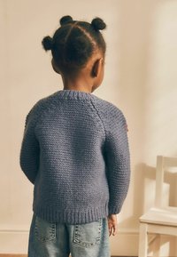 Next REGULAR FIT - Kardigán - blue