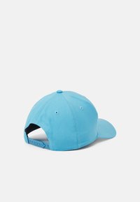 Helles blaues Baseballcap mit gebogenem Schild, sechs Panels und Belüftungsösen, ausgestattet mit einem verstellbaren Snapback-Verschluss auf der Rückseite.