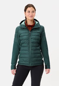 Grüne Puffjacke mit glänzender Innenseite, engen Bündchen und Reißverschluss vorne. Ausgewogenes Design mit Kapuze und dezentem Branding auf der Brust.