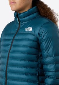 Persona con capelli ricci che indossa una giacca a vento teal con zip, che presenta il logo bianco "The North Face" sul lato sinistro del petto.
