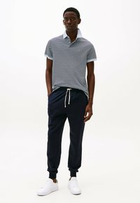 Tommy Hilfiger REGULAR - Polo - breezy blue   desert sky