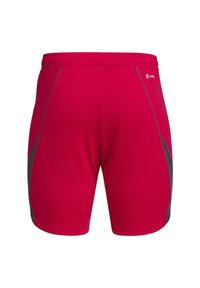 Rote Sportshorts aus leichtem, glattem Stoff. Mit grauen Seitenpaneelen und einem elastischen Bund für Komfort und Flexibilität.