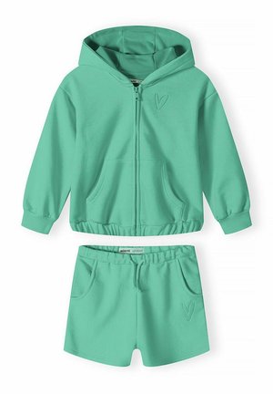 SET - Sweater met rits - green