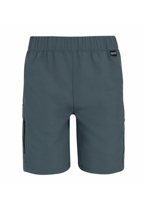 Dunkelgraue Herren-Shorts mit elastischem Bund und seitlichen Reißverschlusstaschen, Vorderansicht auf weißem Hintergrund.