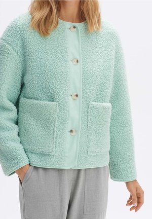 Mintgrüne Jacke aus strukturiertem Fleece mit Knopfleiste, ausgestattet mit zwei großen Fronttaschen und einem weichen, gemütlichen Erscheinungsbild.