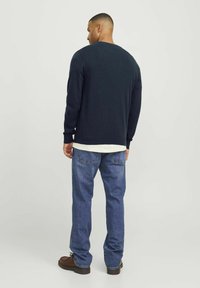 R.D.D. ROYAL DENIM DIVISION MIT RUNDHALS  - Pulóver - salute