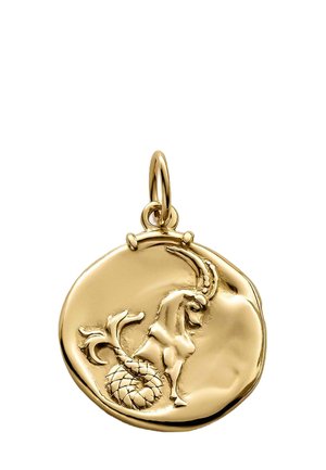 CAPRICORNIO  - Colgante - gold-colored