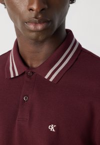 Close-up van een persoon in een bordeauxrode polo met twee witte strepen op de kraag en een klein wit "cK" logo op de borst.